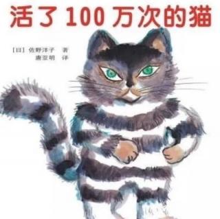 绘本故事《活了100万次的猫》