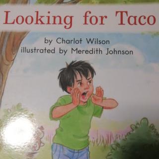 Looking for Taco