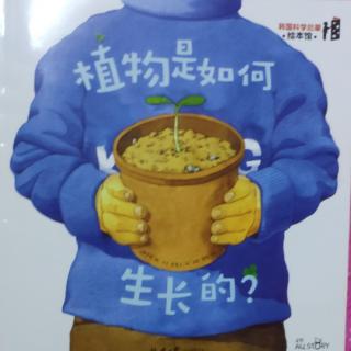 植物是如何生长的