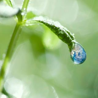 李斐    谷雨雨点滴答