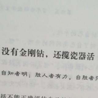 没有金刚钻，还揽瓷器活