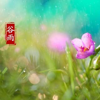 谷雨时节