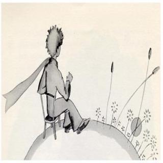 Chapter7-The Little Prince