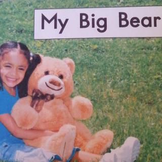 My Big Bear