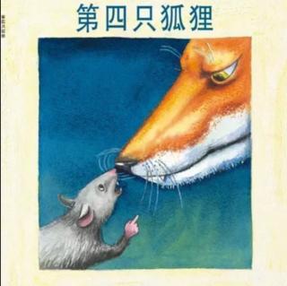 《第四只狐狸🦊》