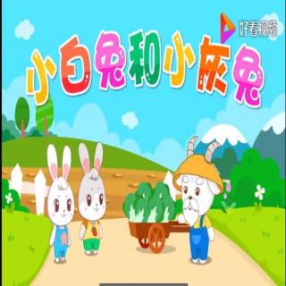 【海贝睡前故事】小白兔和小灰兔🐰