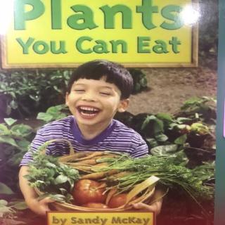 G2 Science LR Book81 - Plants You Can Eat