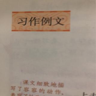 《习作例文》