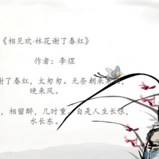 李煜 | 相见欢（林花谢了春红）