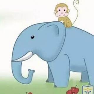 大象和小猴子