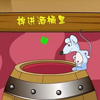 《掉进酒桶里的老鼠🐭》