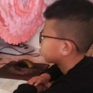 我的小弟弟，我是四年级2班的赵轩