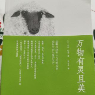 《万物有灵且美》柳暗花明