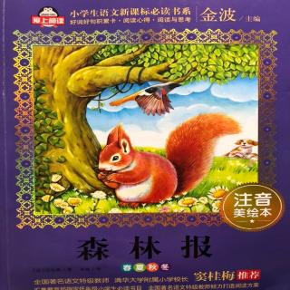 来自四面八方的无线电🐿🐿🐿