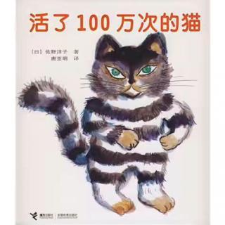 活了100万次的猫