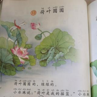 《荷叶圆圆》