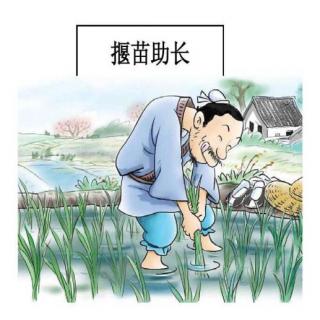 揠苗助长