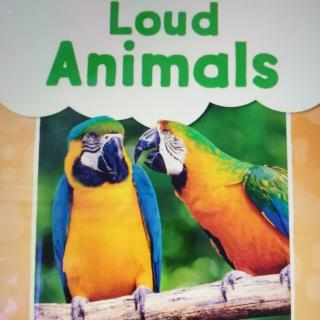 10.《Loud Animals》20200423录