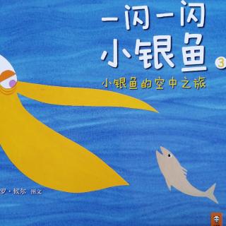 23.小银鱼🐟的空中之旅