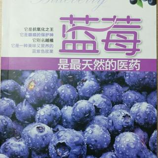25（5.5）蓝莓VS皮肤问题（P.81-84）
