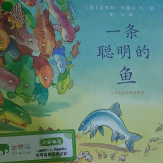 《一条聪明的鱼》~幼稚绘晚安绘本故事