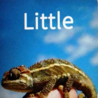 窝读英语Little、Dip in、Big and little