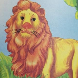 非洲狮——“百兽之王”