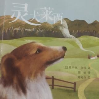 《灵犬莱西》第十二集（上）