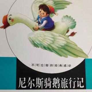 第一章 当“魔鬼尼尔斯”遇上小精灵