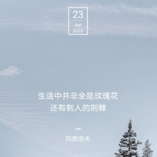 英语打卡第26天