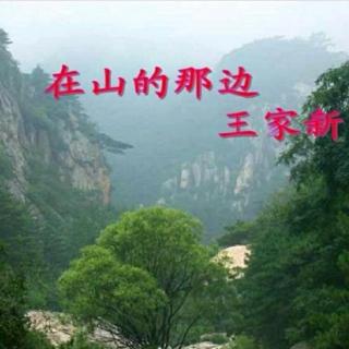 《在山的那边》王家新