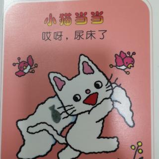 哎呀，尿床了—小猫当当