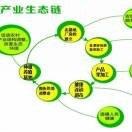 文洁老师分享趋势下的瑞杰系列一