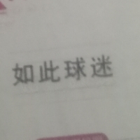 《如此球迷》