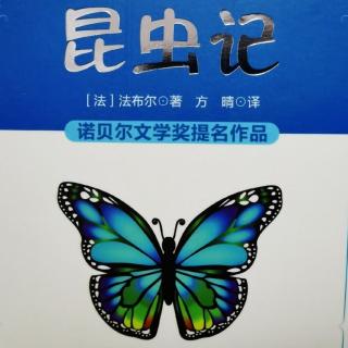 《昆虫记》——萤火虫