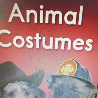 Animal Costumes录音