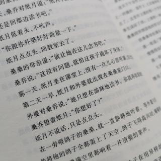 草房子之纸月（5）