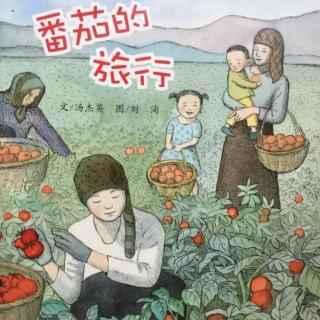 【潜江市大桥幼儿园】睡前故事71《番茄的旅行》