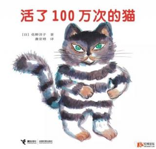 活了100万次的猫