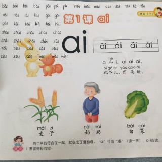 复韵母ai