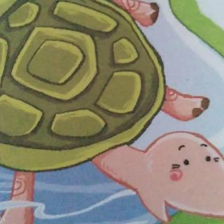 朱曲镇双语幼儿园晚安故事341《想飞的乌龟》