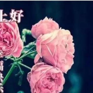 《醉人的花香》作者张华