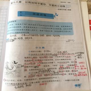 锐阅读119页《小白鹅》