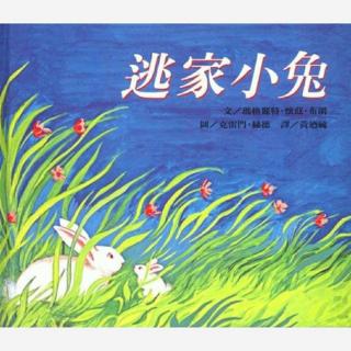 经典童话绘本《逃家小兔》中文版