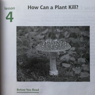 雪儿读U2L4-How Can A Plant Kill 141词《中学生百科1》