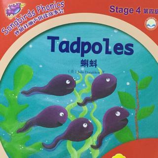 Tadpoles