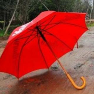 红雨伞-米雪儿❄
