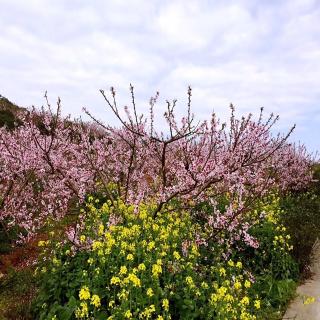 段诗三首。