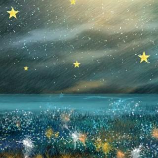 【晚安故事】掉到海里的小星星⭐✨