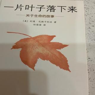 b441-《一片叶子落下来》第一节